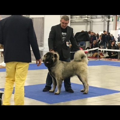 IDS KIELCE'18 - MIMIR